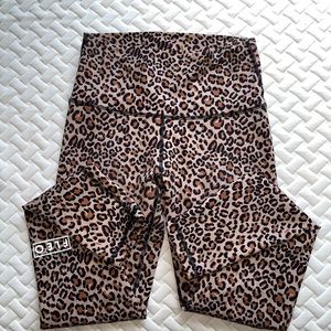 Fleo K. Kiel Cheeta El Torro